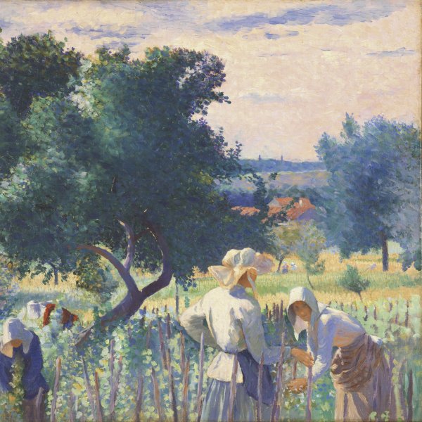 Mujeres atando las cepas