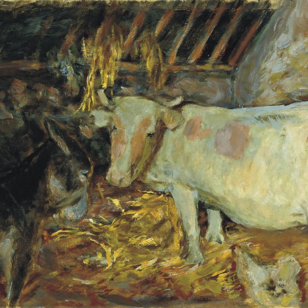 El establo (vaca en la cuadra)