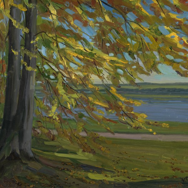 El lago de Starnberg