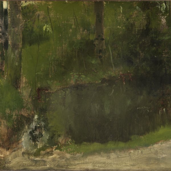 The Pond in the Forest
