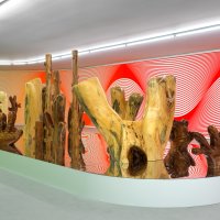 Installation view: After Nature, Claudia Comte, Museo Nacional Thyssen-Bornemisza, Madrid, Spain, 2021. Photo: Stefan Altenburger| TBA21