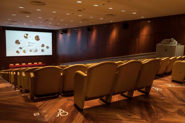 Fotografía del salón de actos Patio de butacas en tonos ocre con una pantalla abajo al fondo
