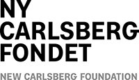New Carlsberg Foundation 