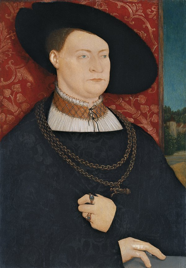 Portrait of a Man. Retrato de un caballero, 1528 (?)