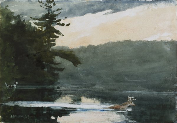 Ciervo en los montes Adirondacks. Winslow Homer