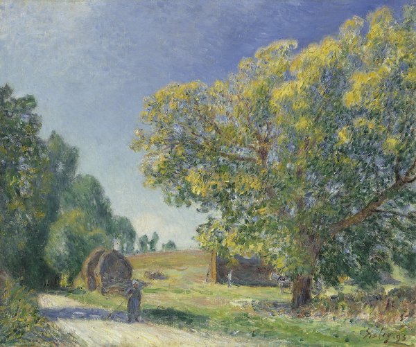 Claro de un bosque Sisley Alfred. Museo Nacional Thyssen Bornemisza