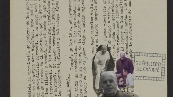 Guérillero de canapé, 2014
