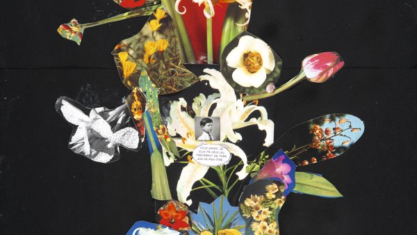 Vous savez, je suis de ceux qui préfèrent se taire que ne rien dire, 2015