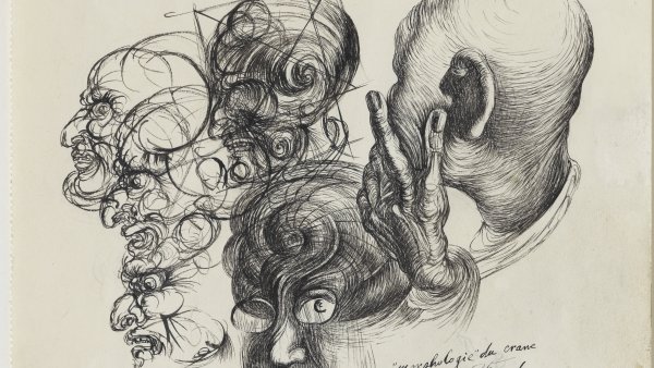 Morfología del cráneo de Freud, 1938
