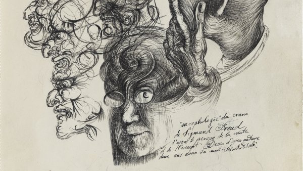 Morfología del cráneo de Freud, 1939-1941
