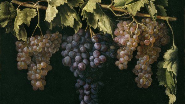 Still Life with four Bunches of Grapes, ca. 1636