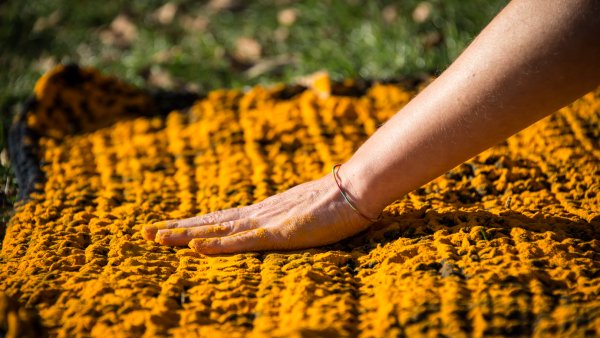 Silencio roto para un encuentro en los límites habitables