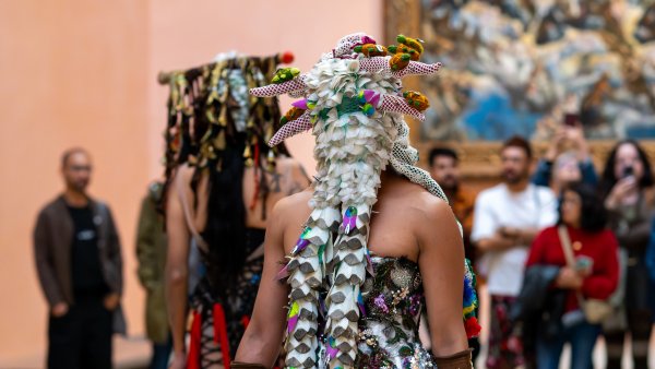Primi-tiva: como planta a la tierra, 13 de mayo de 2026