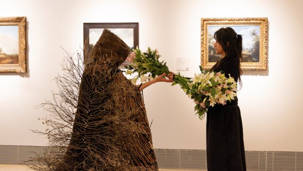 Eran bosques, 11 de noviembre de 2024