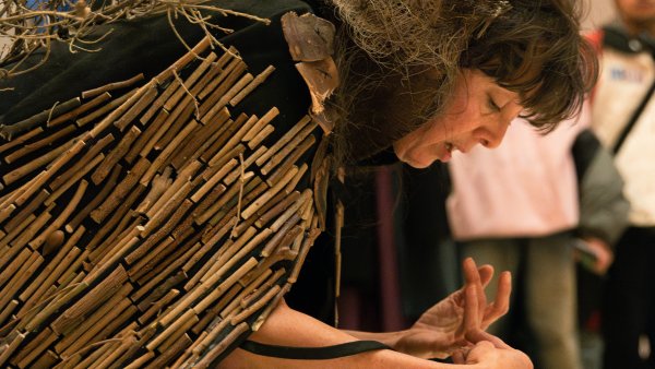 Eran bosques, 11 de noviembre de 2024