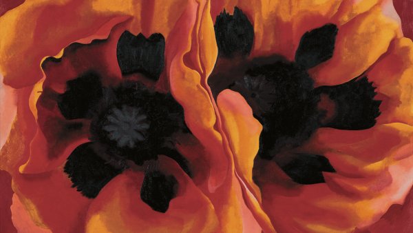 Oriental Poppies, 1927