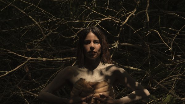 Primi-tiva: como planta a la tierra