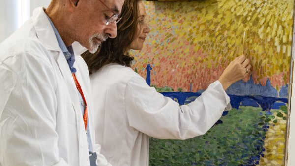 Detalle del protocolo de control de la limpieza de la obra &quot;El puente de Waterloo&quot; de André Derain
